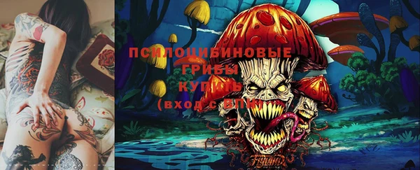mix Гусиноозёрск